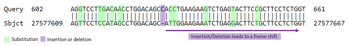 Frameshift mutation point